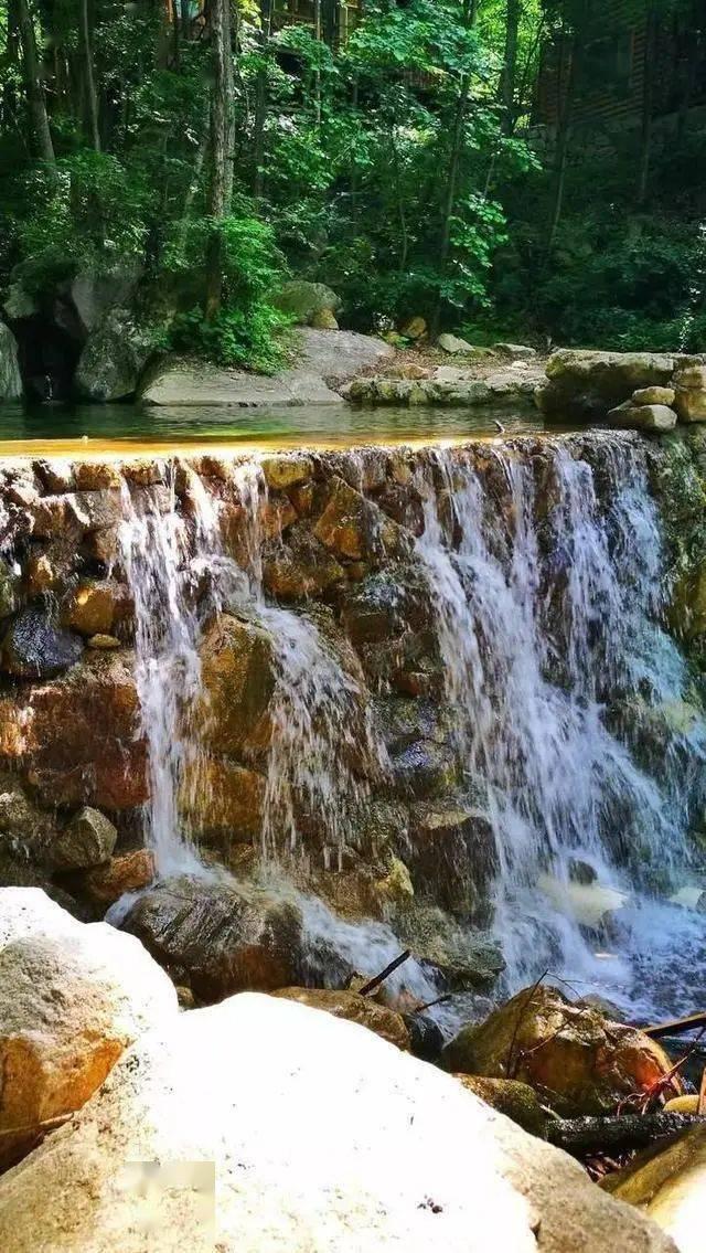 春雨直播app